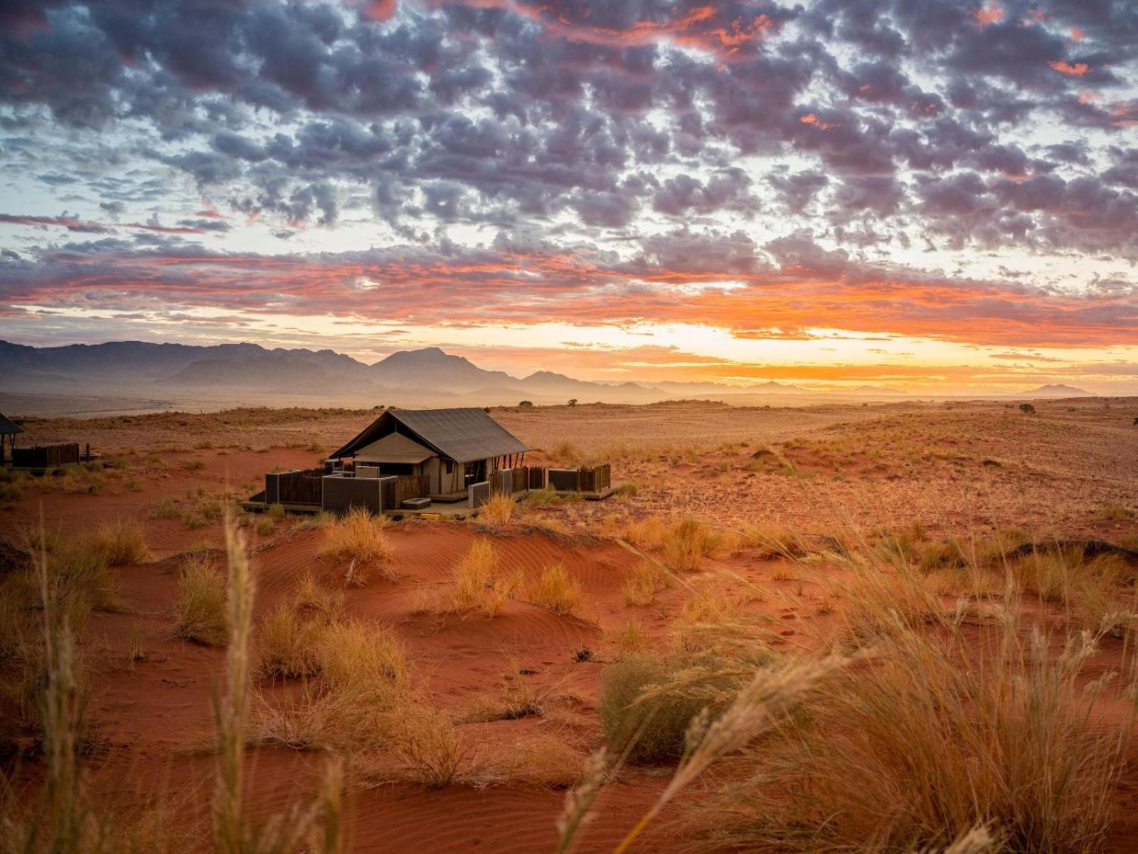 Wolwedans Dune Camp NamibRand ภายนอก รูปภาพ